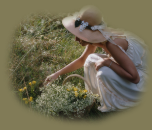 GraphicsByLiz_Raddatz -Dew_Oct2008